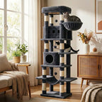 arbre à chat à étage et panier Miwou