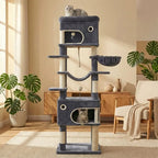 Arbre à chat moderne multi-niveaux Miwou