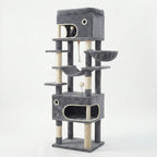 Arbre à chat moderne multi-niveaux Miwou