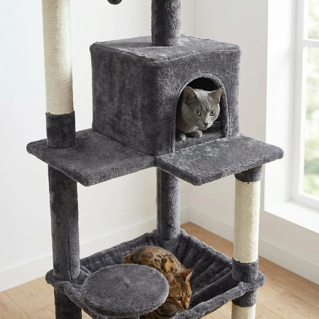 Arbre a chat avec hamac panier multi-niveaux Miwou