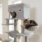 Arbre à chat moderne panier multi-niveaux Miwou