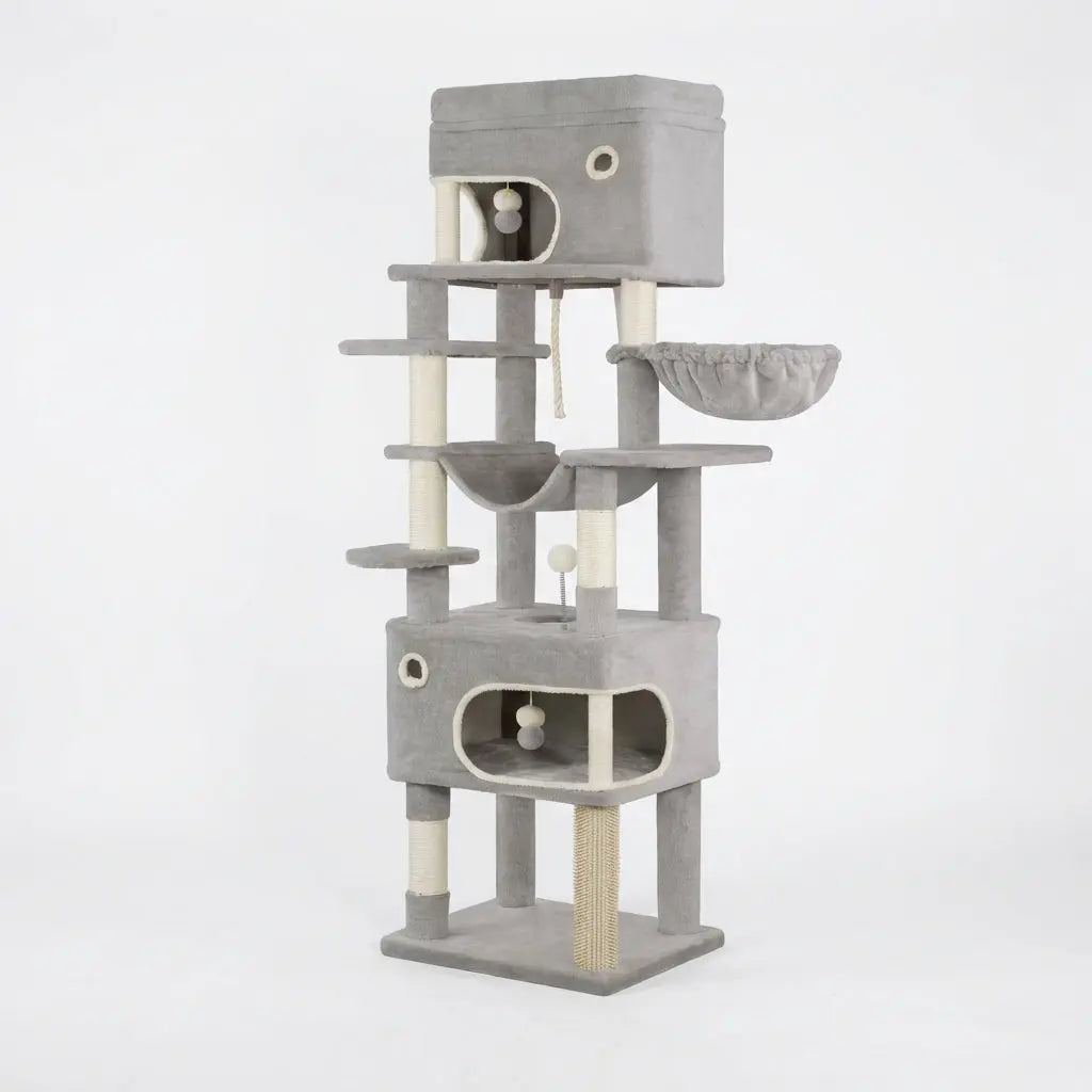 Arbre à chat moderne multi-niveaux Miwou